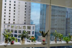 A Touch of Green in EPS Office