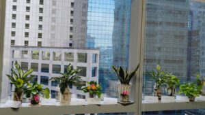 A Touch of Green in EPS Office