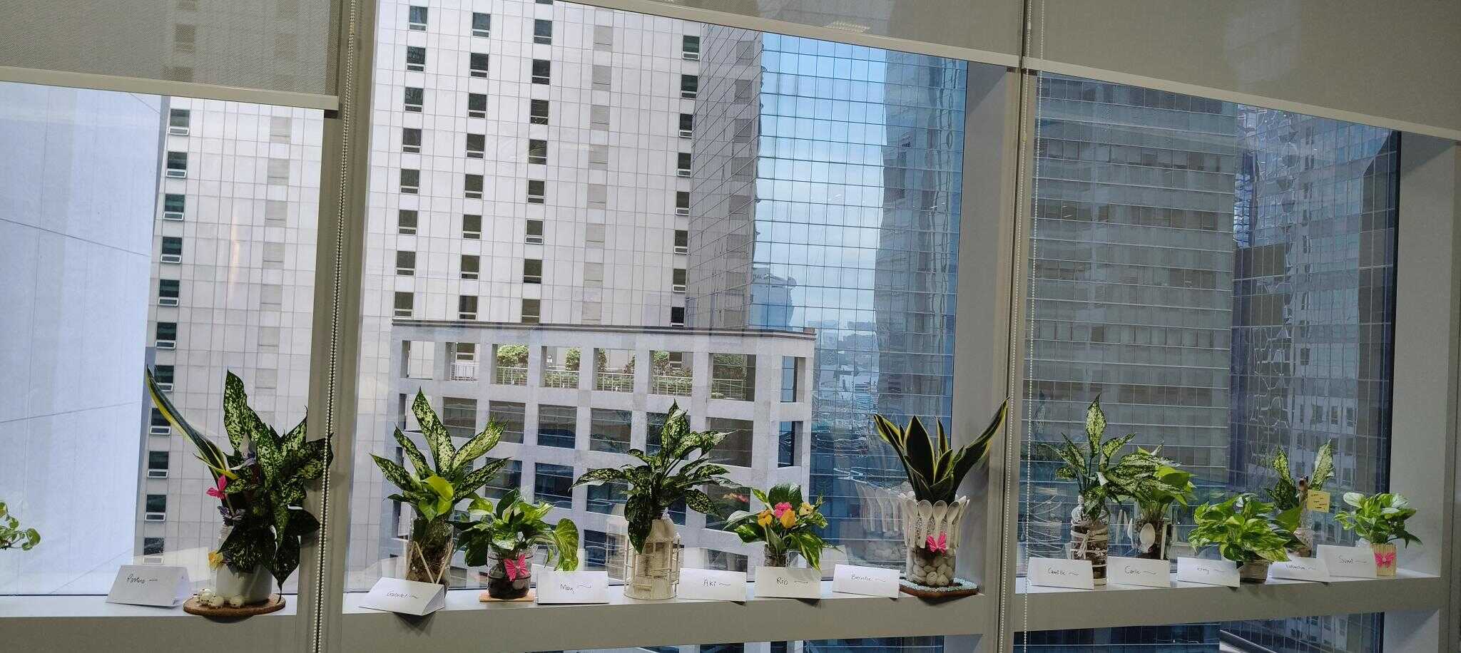 A Touch of Green in EPS Office