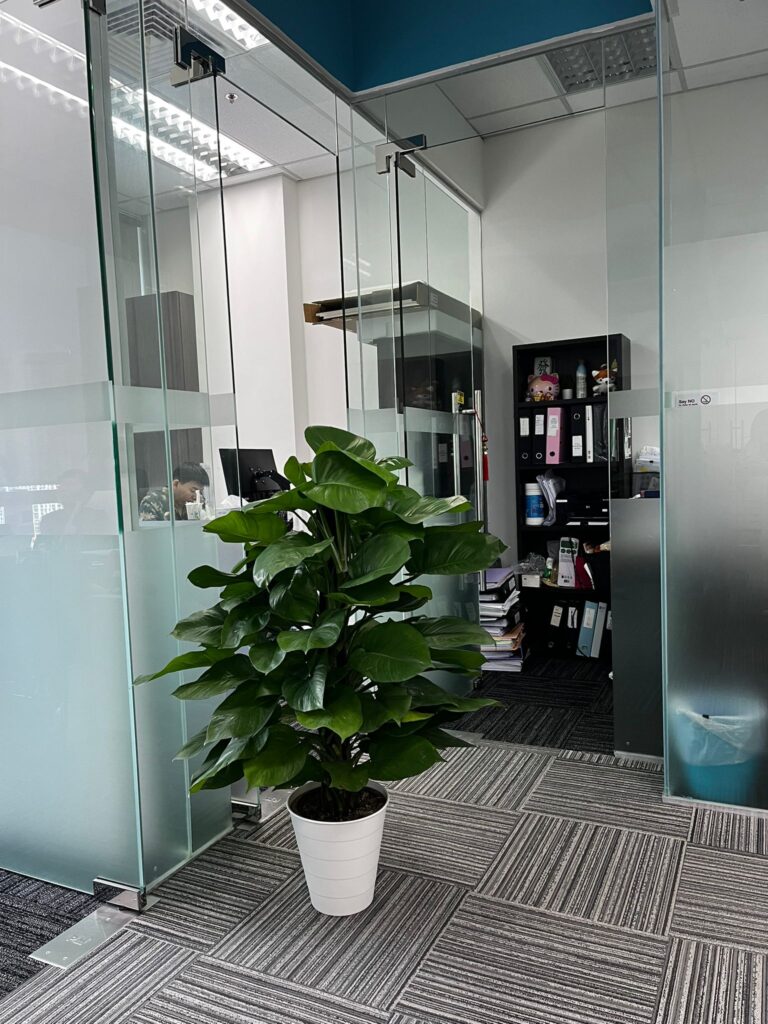 protecting the environment while maintaining a comfortable, modern workspace